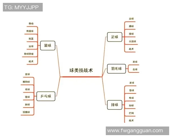 从零开始掌握排球技巧与战术全解析助你成为排球高手