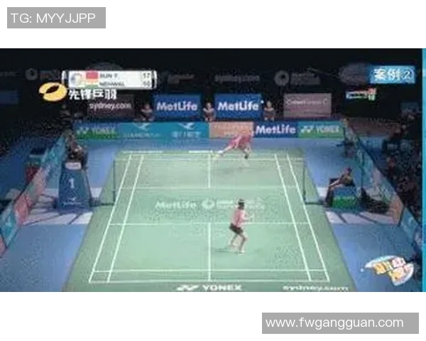 南京羽毛球队节奏对比深度解析与战术演变探讨 南京羽毛球队节奏对比深度解析与战术演变探讨