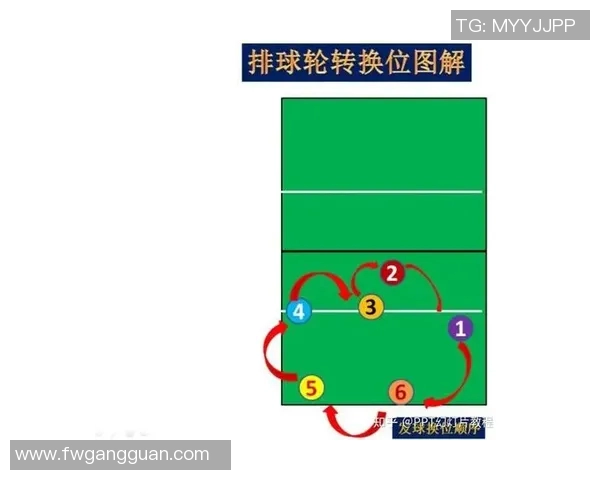 深圳排球队运营策略深度分析与解读