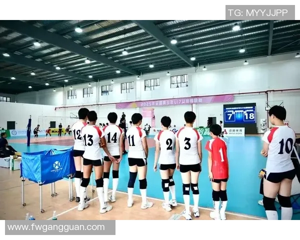 上海排球队在世界锦标赛中的战术表现分析与点评 上海排球队在世界锦标赛中的战术表现分析与点评